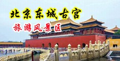 操爽荡妇视频中国北京-东城古宫旅游风景区